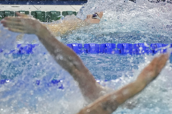 Fotó: MTI/Hegedüs Róbert Kós újabb országos csúcsa 100 méter háton