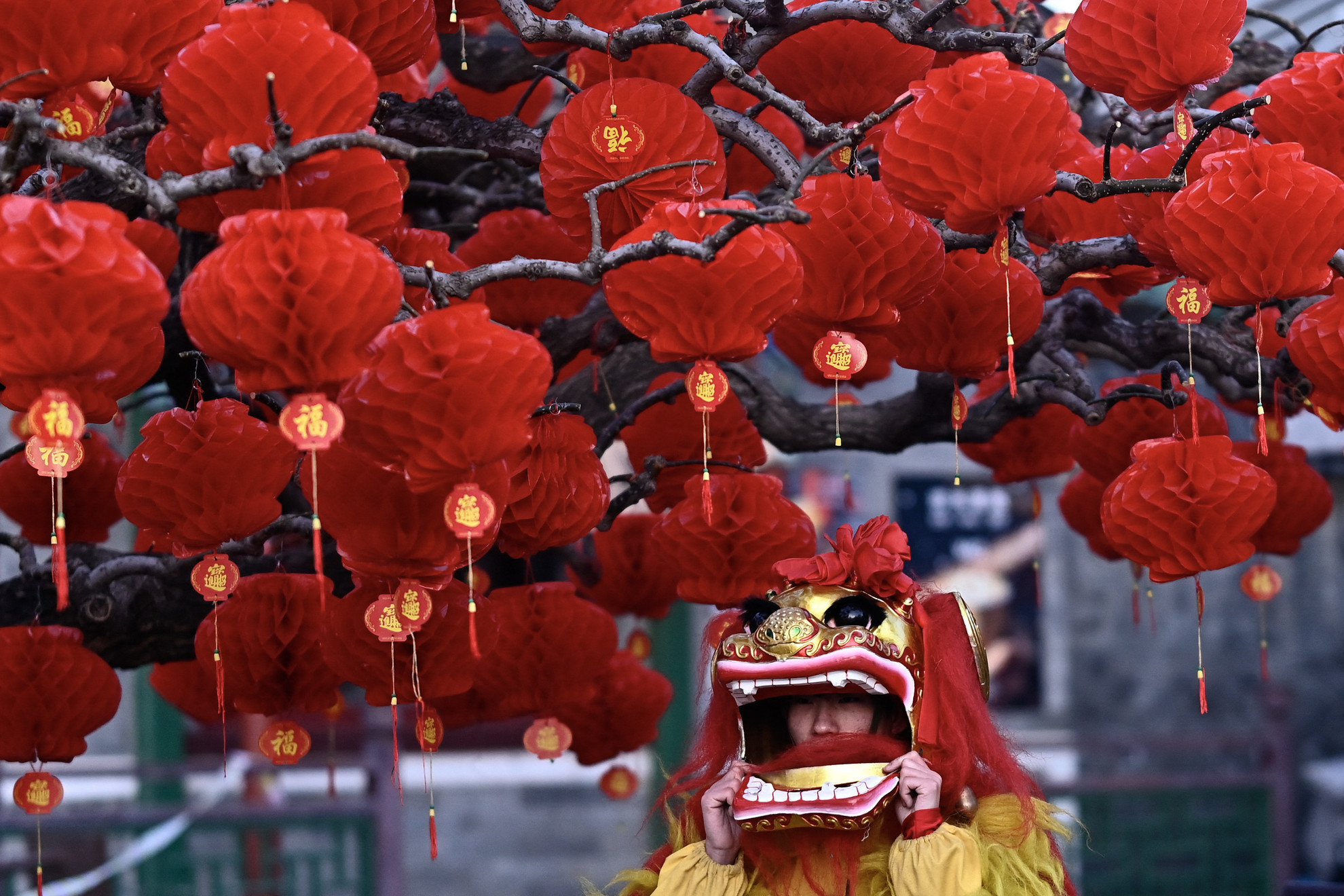 Készülődés az oroszlántánc-előadásra a pekingi Ditan parki templomvásáron 2025. január 29-én, a kígyó holdújév első napján.
Ázsia-szerte több százmillió ember ünnepli a holdújévet családjával január 29-én, amikor is búcsút vesznek a sárkány évétől és bevezetik a kígyó évét