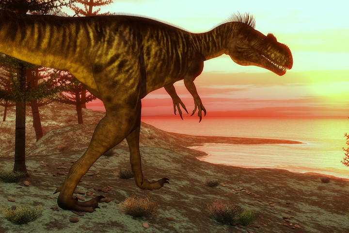 Fotó: NorthFoto Egy angol munkás 166 millió éves dinoszaurusz-lábnyomokat fedezett fel + VIDEÓ