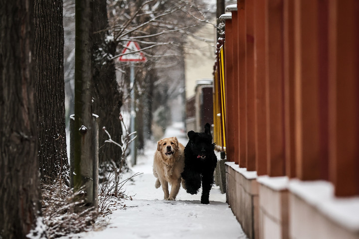 Országos havazás kezdődött