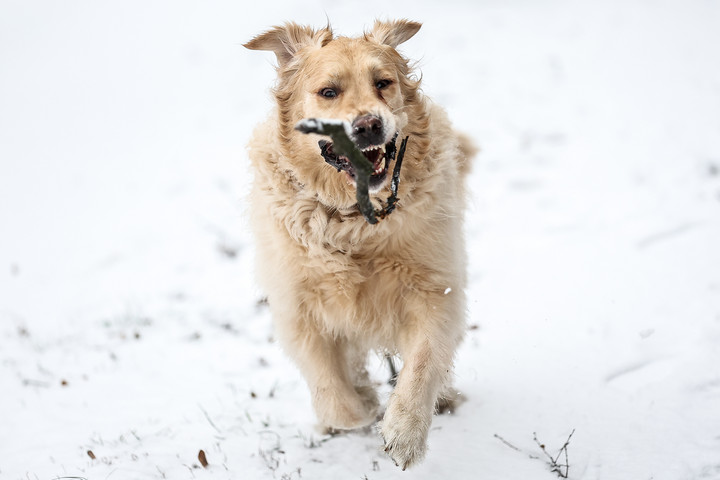 Fotó: MH/Balogh Dávid Havazás várható a hétvégén
