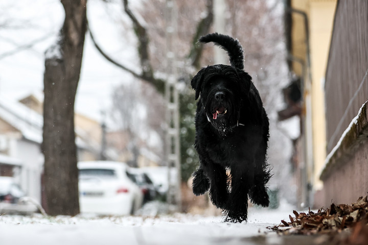 Végleg eltűnhet a hó?