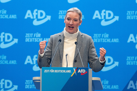 A világ legokosabb embere az AfD-t támogatja