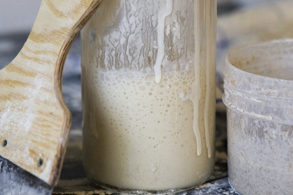 Fermentáljunk, építsünk fenntartható közösséget