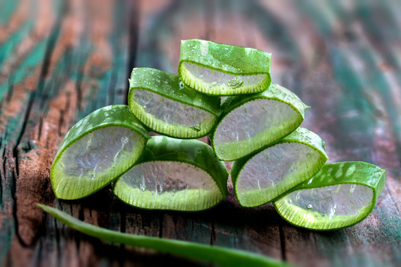 Az orvos megnevezte az aloe vera váratlan tulajdonságát