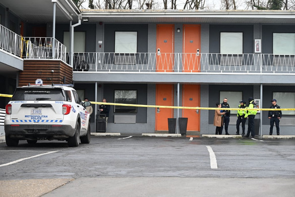 Fotó: AFP/NurPhoto/Kyle Mazza A kegyetlen nő agyonnyomta a nevelt fiát