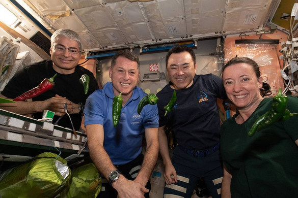 A NASA zöldséget termesztene a Marson