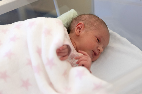 Fotó: MTI/Kocsis Zoltán Újévi baba: Miskolcon és Nyíregyházán születtek az új év első vidéki kisbabái