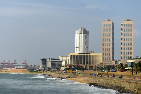 Fotó: AFP/Ishara S. Kodikara Rovarirtó szertől veszthette életét két turista