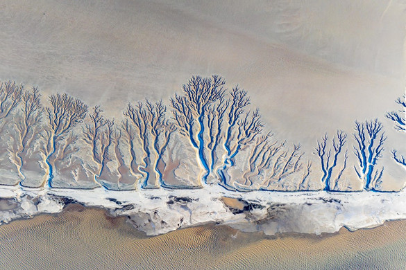 Fogvacogtató volt a reggel