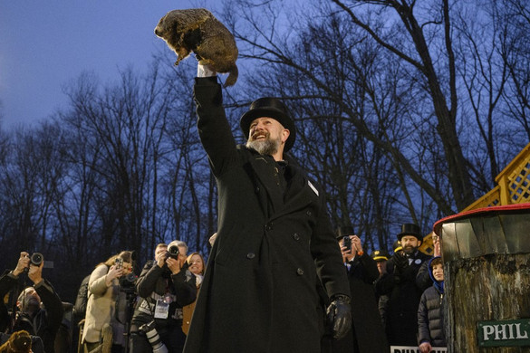 Fotó: AFP/Getty Images/Getty Images North America/Jeff Swensen Még hat hét telet jósol Punxsutawney Phil