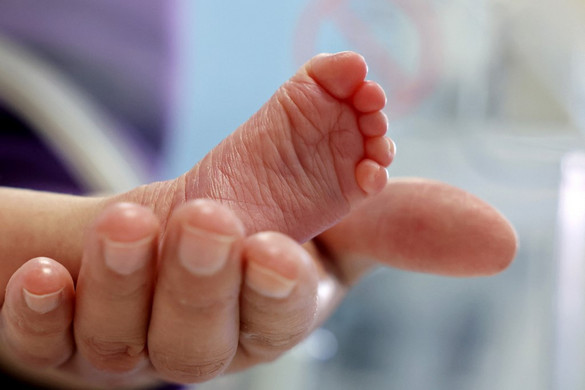 Gyorsan szülőt találhatnak az elhagyott csecsemők