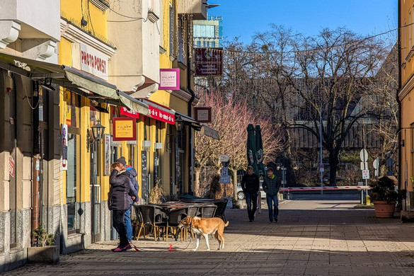 Kampány a szabályszegő kutyatartók ellen