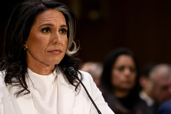 Tulsi Gabbard az amerikai hírszerzés vezetője