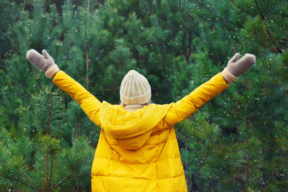 Javítja a koncentrációt, erősíti az immunrendszert és megóvja az egészséget