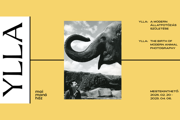 Ylla: A modern állatfotózás születése