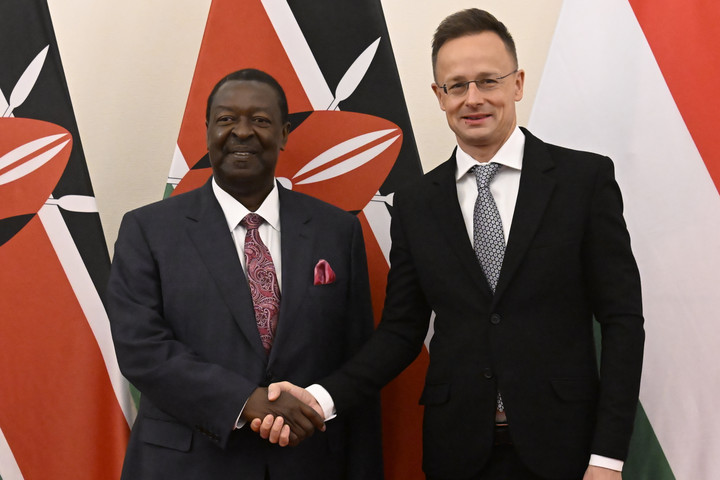 Fotó: MTI/Máthé Zoltán Miért fontos a béke Európa és Afrika számára?