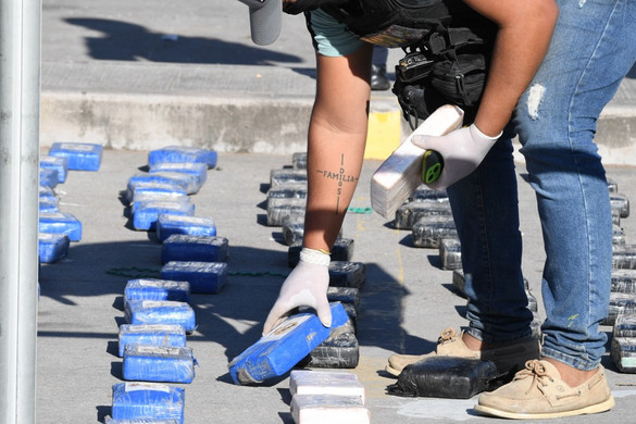 Drogellenes razzia Pest vármegyében