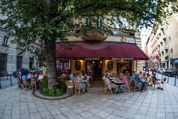 Szentgyörgyvölgyi Péter: Nem félünk úttörők lenni a fák telepítésében