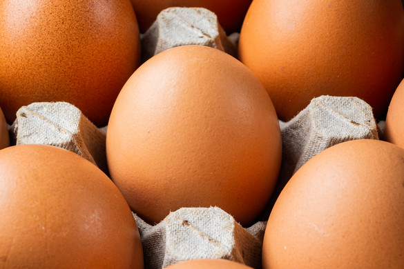 Fotó: NorthFoto Egy meglepő módszer arra, hogy a tojás friss maradjon