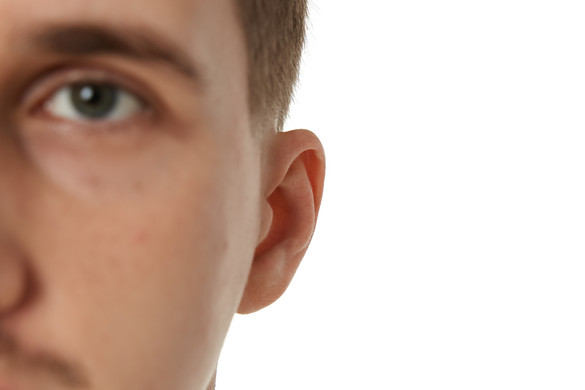 Fotó: NorthFoto Van-e Önnek Darwin-gumója?