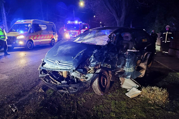 Megöltek egy bolti eladót a Somogy vármegyei Fonón