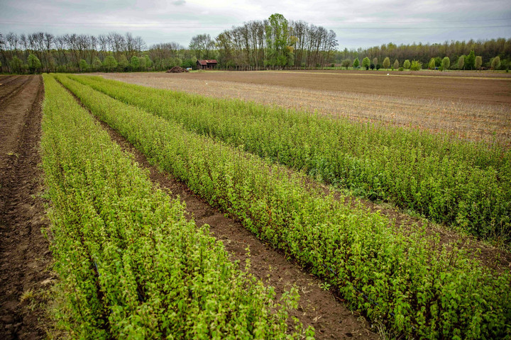 Fotó: Facebook/Agrárminisztérium Sikeres nyári ellenőrzések az agráriumban