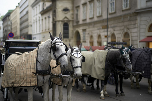 Nagyon benézte a bécsi közlekedést a részeg magyar