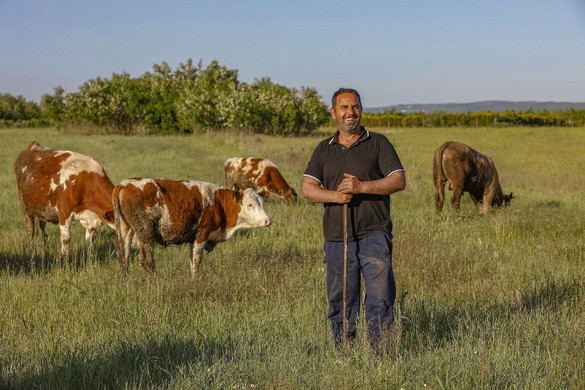 Egyre fogy az agrárnépesség Szerbiában