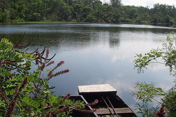 A királyi ménes itatója