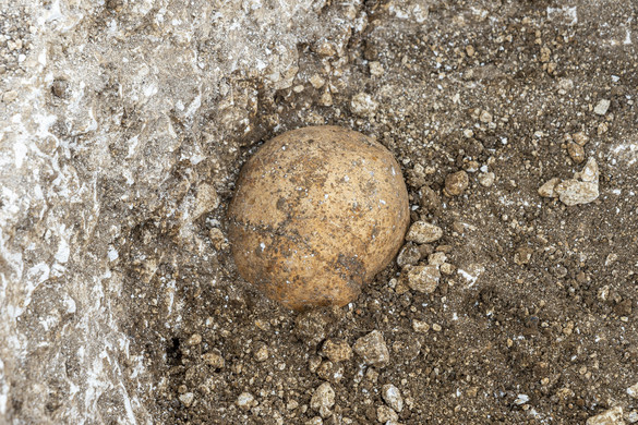 16 ezer éves koponya kapott arcot