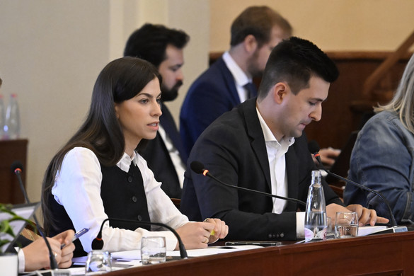 Összeférhetetlenség megállapítását kezdeményezi Szentkirályi Alexandra
