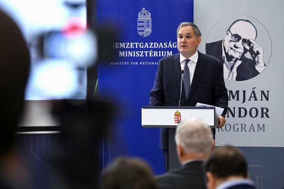 Jól halad a Demján Sándor Program