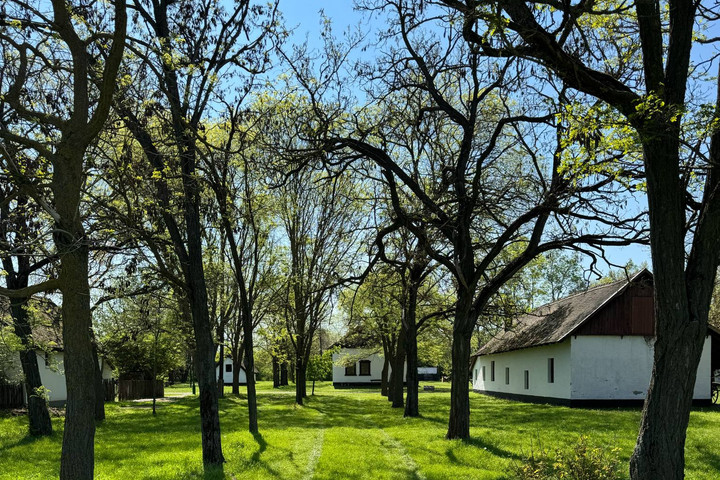 Fotó: Facebook/Ópusztaszeri Nemzeti Történeti Emlékpark Az ópusztaszeri emlékpark az Év emlékhelye