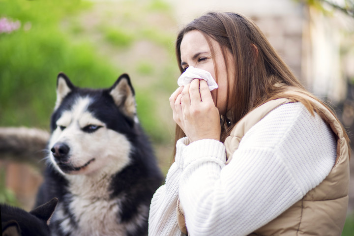 Hogyan védekezzünk az allergia ellen?