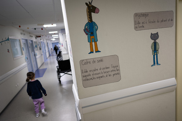 Az orvosi kamara szerint problémás a salátatörvény