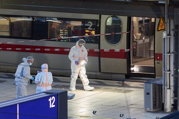 A támadás előtti napon a pszichiátriáról engedték ki a hamburgi késelőt