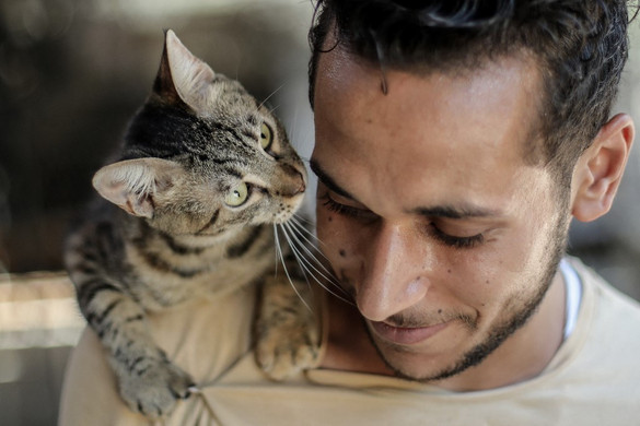 A bal orrlyukba kerülnek az ismerősök