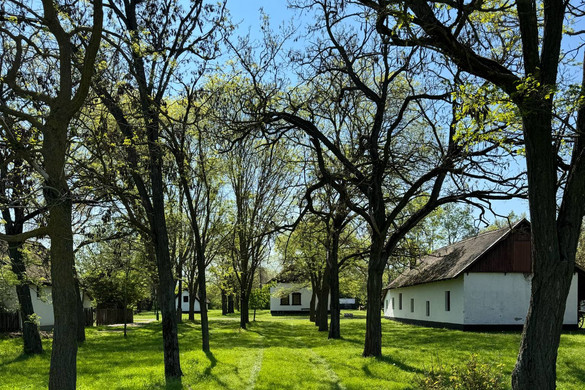 Az ópusztaszeri emlékpark az Év emlékhelye