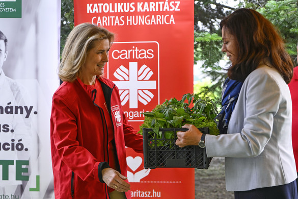 Összefogással lehet nagy dolgokat elérni