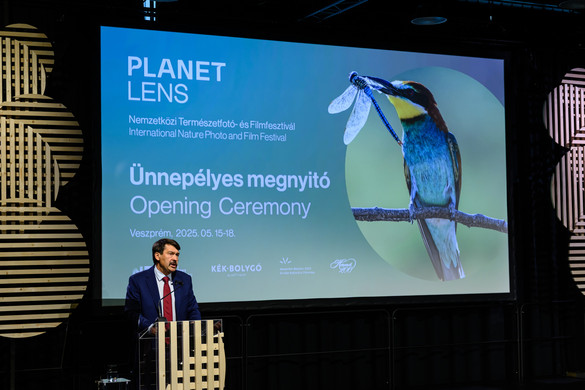 A bolygónkon minden mindennel összefügg