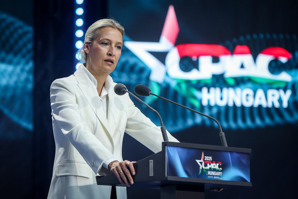 Alice Weidel szerint az AfD-t nem törik meg
