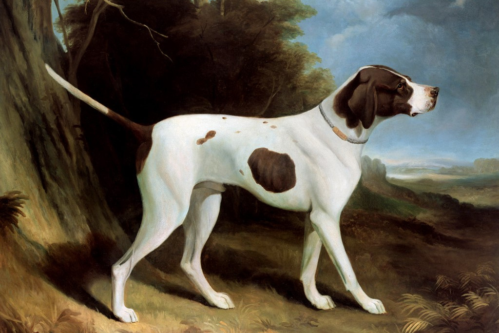 Fotó: Bridgeman Images via AFP Az angol pointer portréja (Portrait d'un pointer foie (marron) et blanc) (olaj, vászon) Garrard