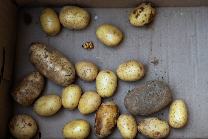 Fotó: Getty Images via AFP/Spencer Platt „Nem vitamin, hanem méreg”