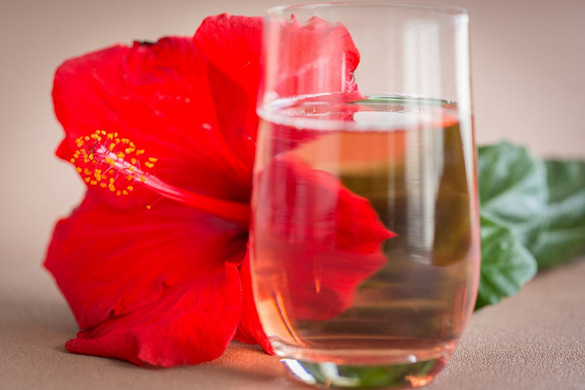 Valóban csökkentheti a hibiszkusz a koleszterinszintet?