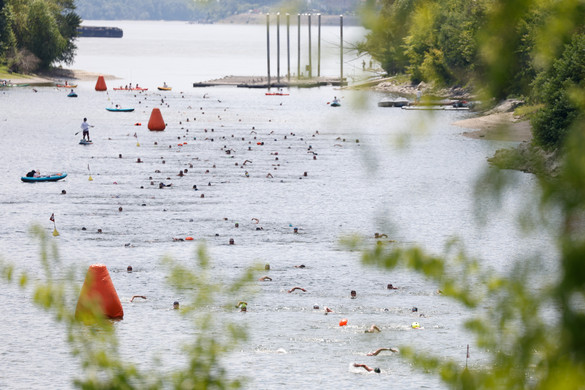 Fotó: MTI/Kocsis Zoltán Részvételi rekordot döntött a 3. MOL Campus Öbölúszás