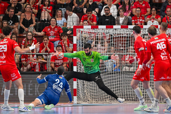 Bajnok a Veszprém!