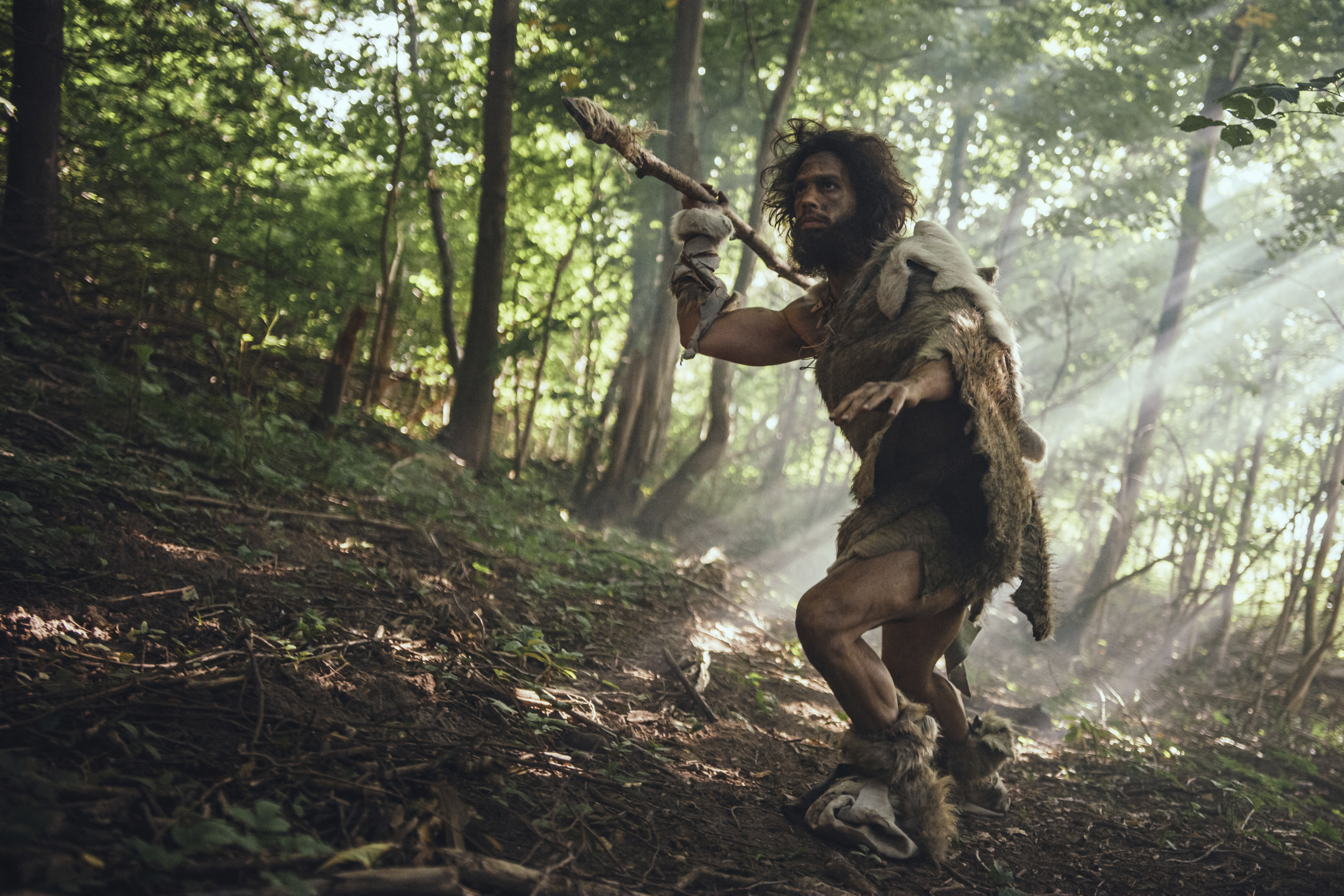 A neandervölgyiek már tudtak ragasztót készíteni?