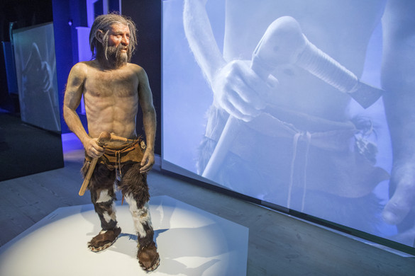 Ötzi, a jégember DNS-éből kiderül, hogy egy korábban ismeretlen genetikai vonalhoz tartozott