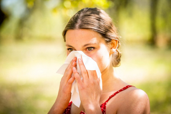 Tanácsok a szakembertől allergiásoknak